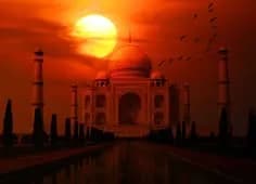 taj