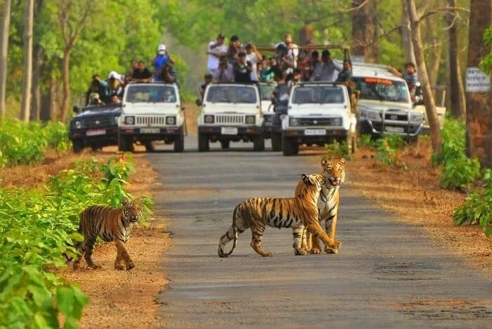Photography Golden Triangle Tours | Experience My India 1