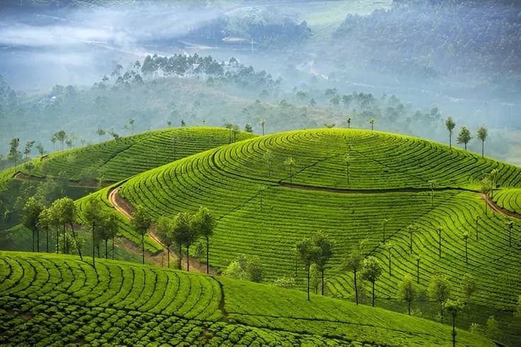 Golden Triangle with Kerala 3