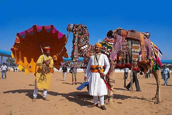 Golden Triangle with Pushkar Camel Fair image 1