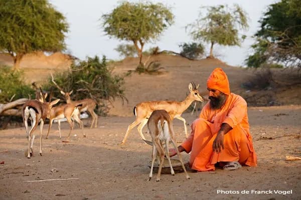 Rural Village-Homestay Golden Triangle | Experience My India image 4