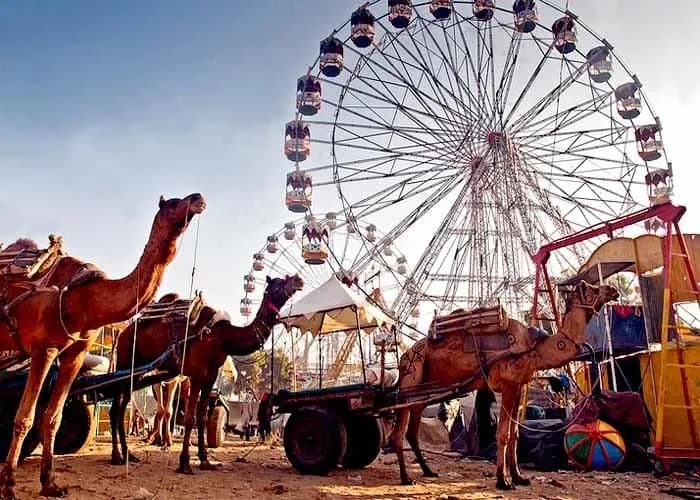 Ajmer & Pushkar Golden Triangle | Experience My India 3