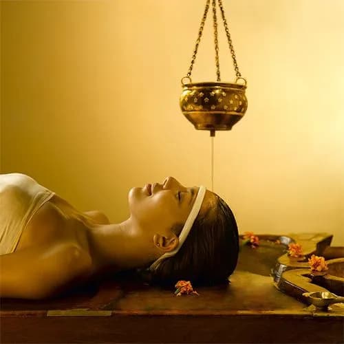 Ayurveda & Spa Golden Triangle Retreat 3