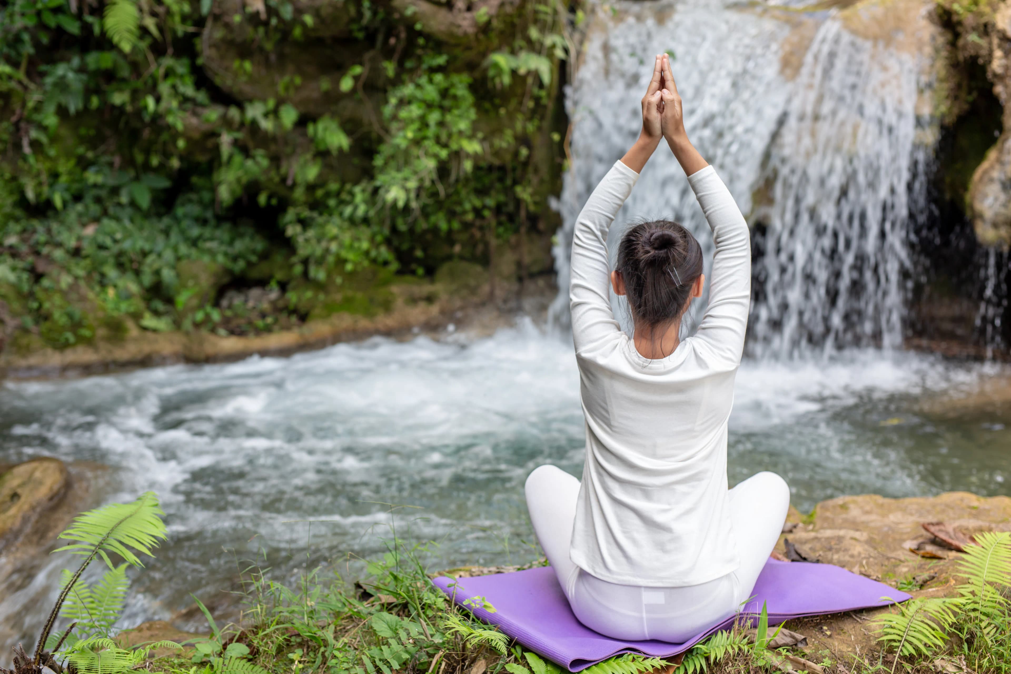 Ayurveda & Spa Golden Triangle Retreat image 4