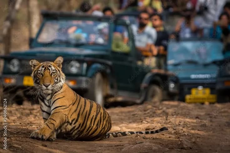 Golden Triangle with a Ranthambore Tiger Safari | Private image 4